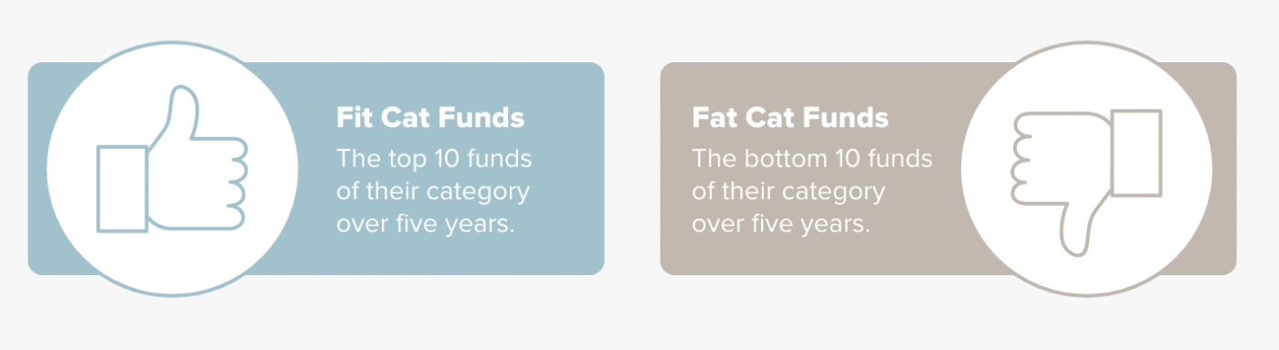 Fit Cat Funds and Fat Cat Funds